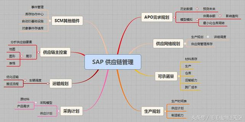 什么是供應鏈管理?SAP供應鏈管理業務情景概述